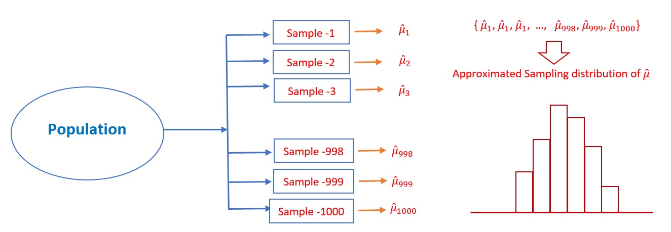 Steps for estimating the sampling distribution of a point estimator of the population parameter