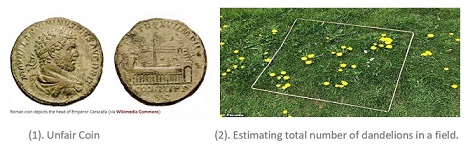  Left: unfair coins. Right: quadrat for ecology sampling - estimating the number of dandelions in a field.